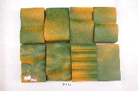 藏品(褶皺和斷層模型)的圖片